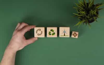 Sustainability and the role of the CFO