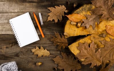 How did finance companies react to the Autumn Budget?