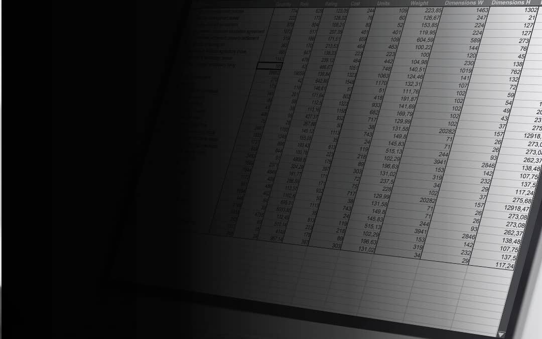 Beyond the Spreadsheets: Multi-Entity Reporting Leaders Actually Trust